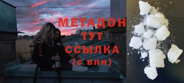 сатива Новозыбков