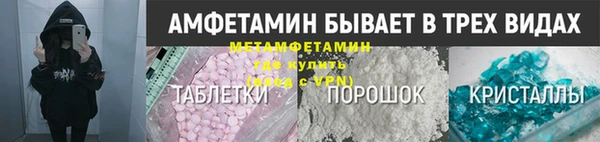 сатива Новозыбков