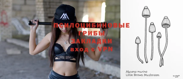 трава Новокубанск