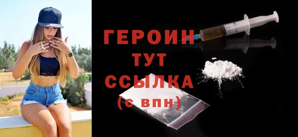 сатива Новозыбков