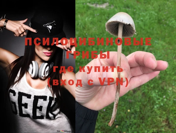 индика Киренск