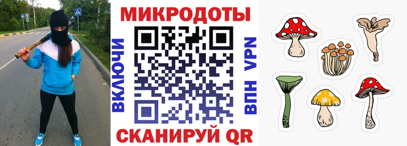 Псилоцибиновые грибы Psilocybine cubensis  купить закладку  KRAKEN ссылка  Каневская 