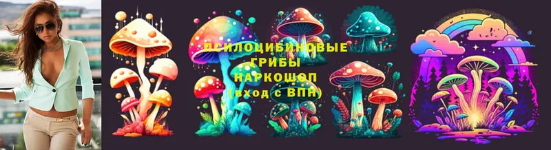 где купить наркоту  Каневская  Псилоцибиновые грибы Cubensis 